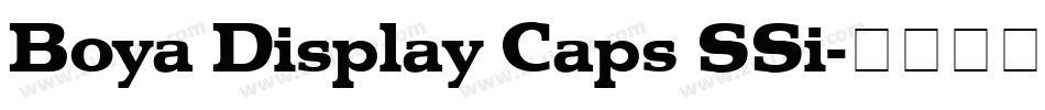 Boya Display Caps SSi字体转换